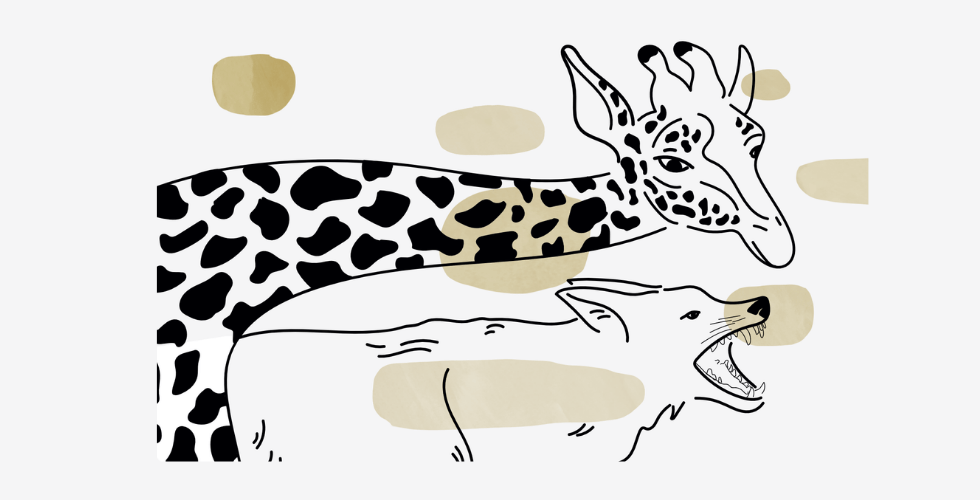 05 nenasilna komunikaciaI web 2 05 nenasilna komunikaciaI web 2